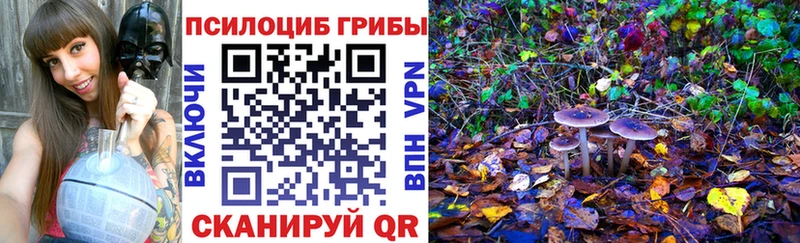 Псилоцибиновые грибы прущие грибы Верхотурье